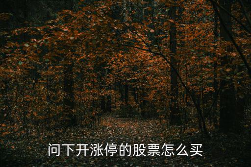 問下開漲停的股票怎么買