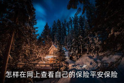 怎樣在網上查看自己的保險平安保險