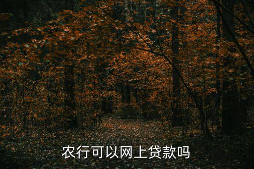 農(nóng)行可以網(wǎng)上貸款嗎