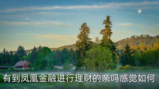 有到鳳凰金融進(jìn)行理財?shù)挠H嗎感覺如何