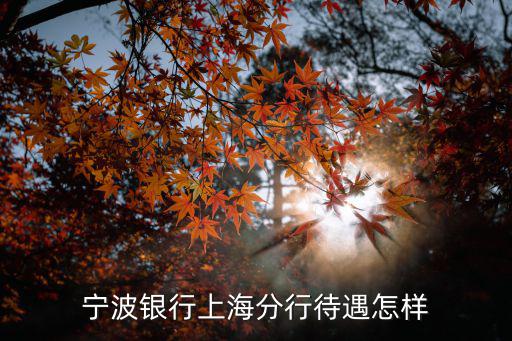 寧波銀行上海分行待遇怎樣