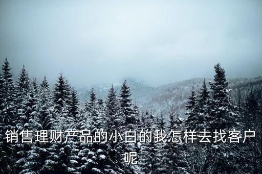 銷售理財產(chǎn)品的小白的我怎樣去找客戶呢