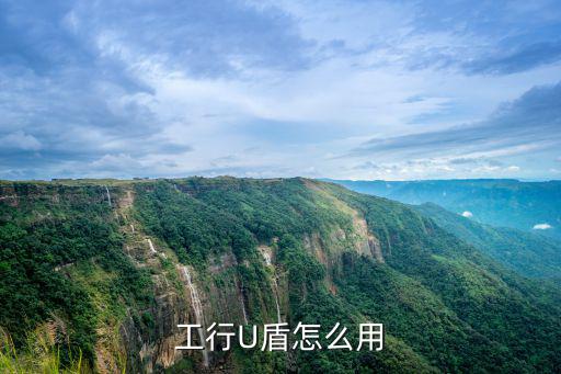 工行企業(yè)u盾怎么用，工行U盾怎么用