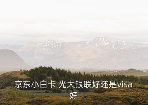 光大小白卡visa怎么樣，京東小白卡 光大銀聯(lián)好還是visa好