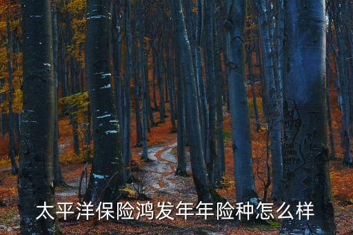 太平洋鴻發(fā)年年怎么樣，太平洋保險(xiǎn)鴻發(fā)年年怎么樣