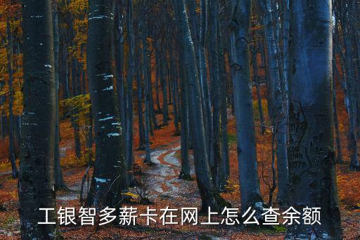 工行薪金卡怎么查余額，我的工資卡是工商銀行卡請問怎樣查詢工資卡金額