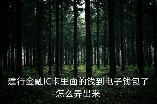 建行金融IC卡里面的錢到電子錢包了怎么弄出來(lái)