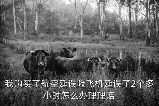 我購買了航空延誤險飛機延誤了2個多小時怎么辦理理賠