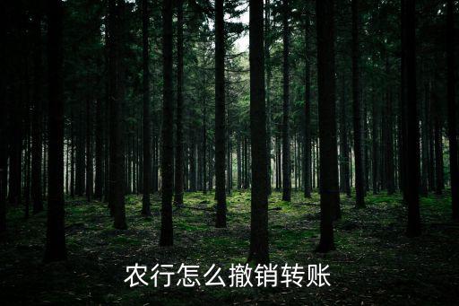 農(nóng)行怎么撤銷轉(zhuǎn)賬
