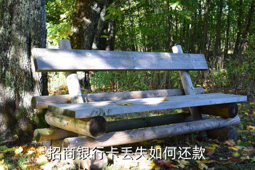 招商銀行卡丟失如何還款