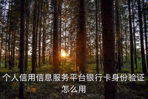 個人征信怎么用卡驗證碼，怎樣才能獲取人行征信個人身份驗證碼呢
