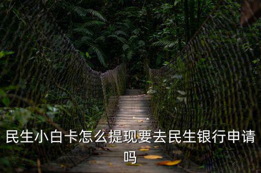 民生小白卡怎么提現(xiàn)要去民生銀行申請(qǐng)嗎