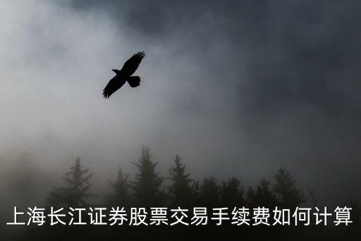 上海長(zhǎng)江證券股票交易手續(xù)費(fèi)如何計(jì)算