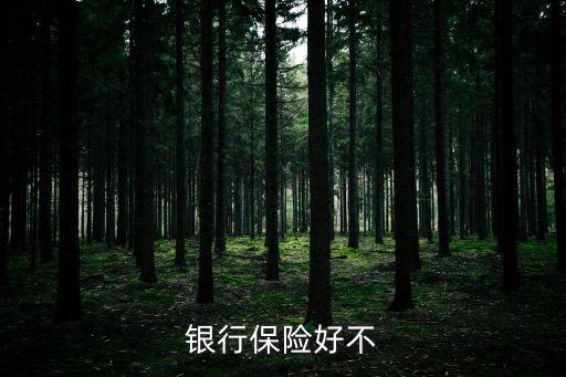 銀行保險(xiǎn)好不