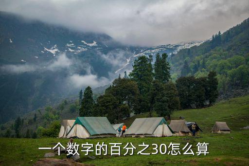 一個數(shù)字的百分之30怎么算