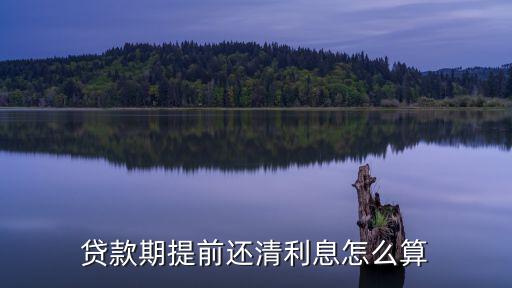 助學(xué)貸款提前還款利息怎么算，貸款期提前還清利息怎么算