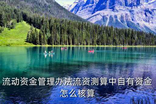 流動(dòng)資金管理辦法流資測算中自有資金怎么核算
