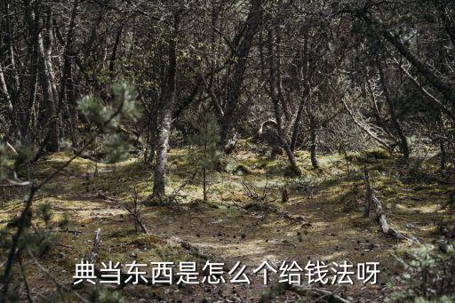 當(dāng)鋪當(dāng)東西怎么算錢的，典當(dāng)東西是怎么個給錢法呀