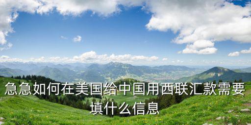 急急如何在美國給中國用西聯(lián)匯款需要填什么信息