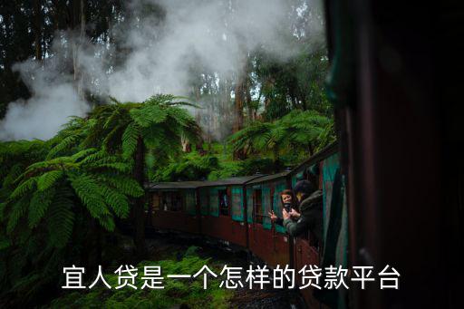 宜人貸是一個怎樣的貸款平臺