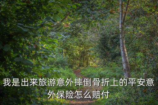 我是出來旅游意外摔倒骨折上的平安意外保險怎么賠付