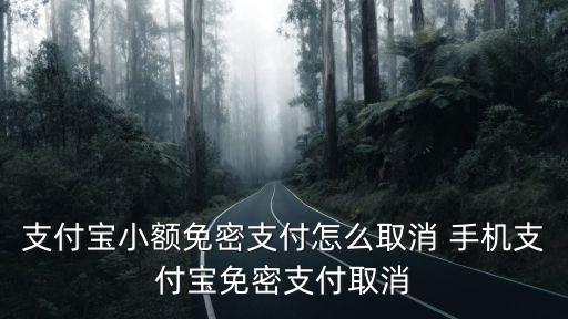 支付寶小額免密支付怎么取消 手機(jī)支付寶免密支付取消