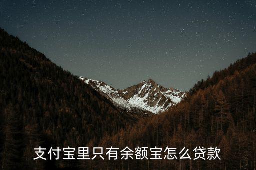 支付寶里只有余額寶怎么貸款