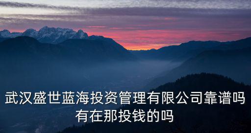 武漢盛世藍海投資管理有限公司靠譜嗎有在那投錢的嗎
