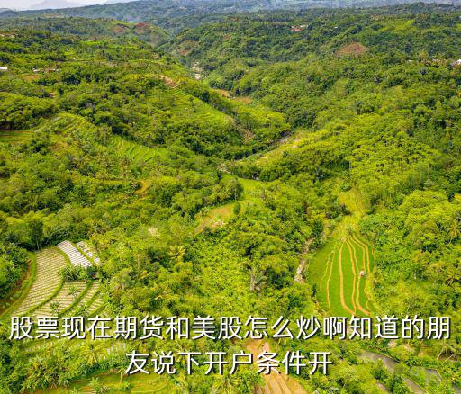 股票現(xiàn)在期貨和美股怎么炒啊知道的朋友說下開戶條件開