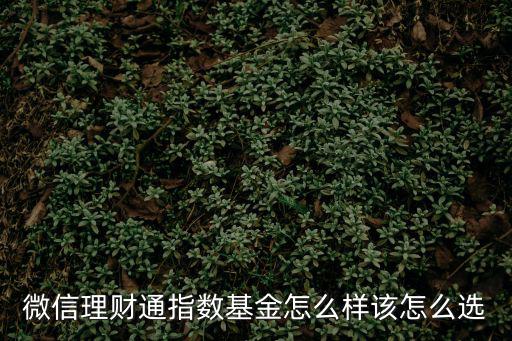 微信理財通指數(shù)基金怎么樣該怎么選