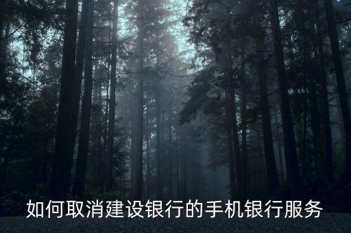 如何取消建設(shè)銀行的手機(jī)銀行服務(wù)