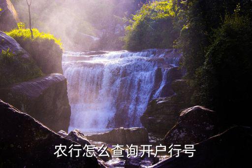 農(nóng)行怎么查詢開(kāi)戶行號(hào)