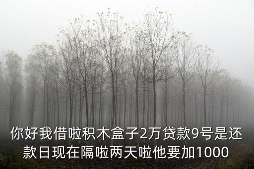 你好我借啦積木盒子2萬貸款9號是還款日現(xiàn)在隔啦兩天啦他要加1000