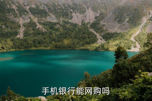 手機(jī)銀行能網(wǎng)購嗎