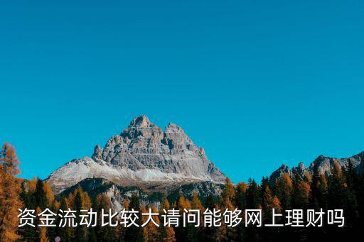資金流動(dòng)比較大請(qǐng)問(wèn)能夠網(wǎng)上理財(cái)嗎