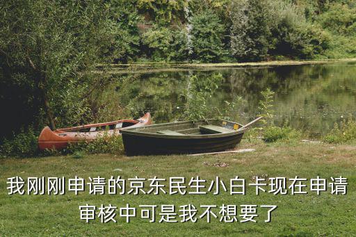 我剛剛申請(qǐng)的京東民生小白卡現(xiàn)在申請(qǐng)審核中可是我不想要了