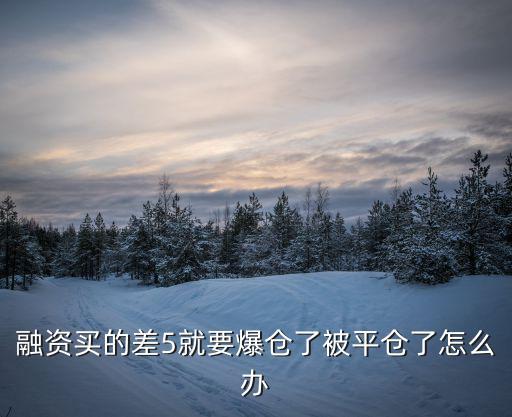 融資買的差5就要爆倉了被平倉了怎么辦