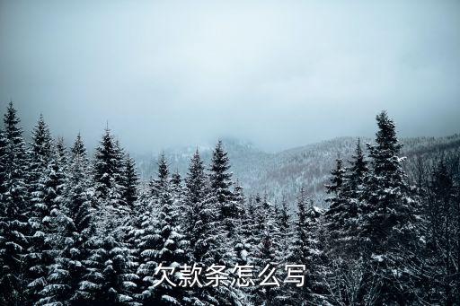 欠款條怎么寫