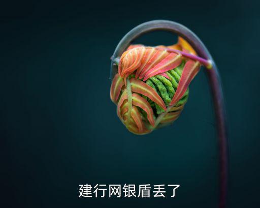 建行網(wǎng)盾掉了怎么辦，我的建行網(wǎng)銀盾丟了怎么辦
