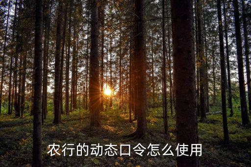 農(nóng)行的動態(tài)口令怎么使用