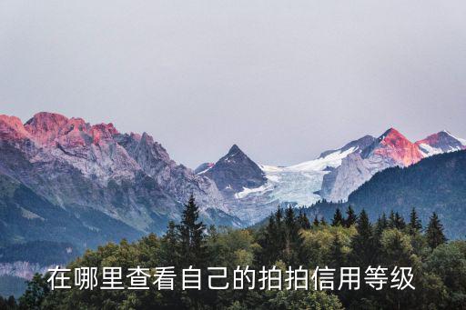 在哪里查看自己的拍拍信用等級(jí)