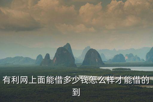 怎么向有利網(wǎng)貸款，如何在網(wǎng)上貸款