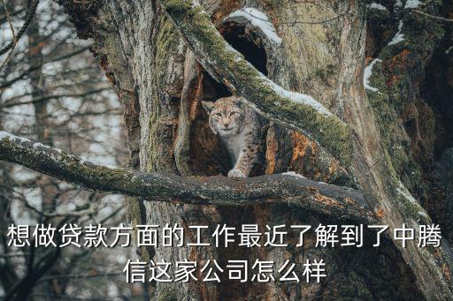 去中騰信上班怎么樣，今天收到上海 中信集團(tuán)中騰信的貸款專員面試 我想知道這個(gè)工作