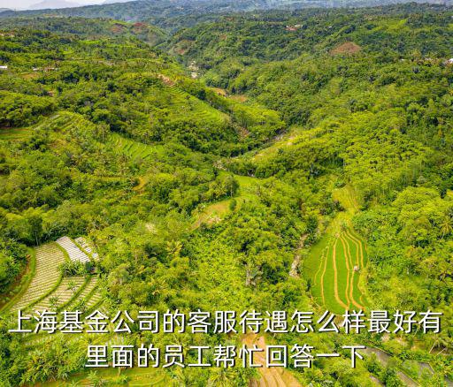 上海基金公司的客服待遇怎么樣最好有里面的員工幫忙回答一下