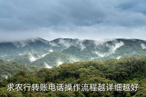 農(nóng)行電話轉(zhuǎn)賬機(jī)怎么用，農(nóng)行電話支付終端機(jī)怎樣用