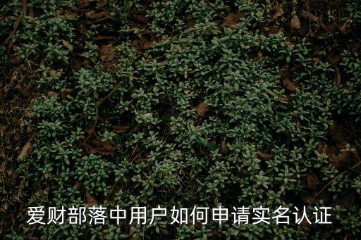 愛財(cái)部落中用戶如何申請(qǐng)實(shí)名認(rèn)證
