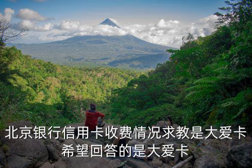 北京銀行信用卡收費情況求教是大愛卡希望回答的是大愛卡