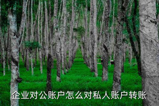 企業(yè)對公賬戶怎么對私人賬戶轉(zhuǎn)賬