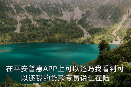 在平安普惠APP上可以還嗎我看到可以還我的貸款專員說讓在陸
