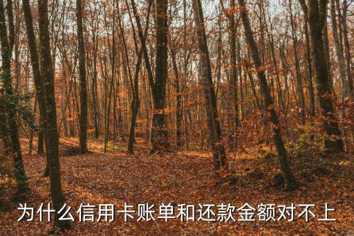 為什么信用卡賬單和還款金額對不上